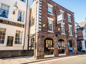The Pied Bull