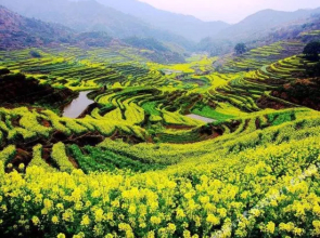 婺源篁岭暖阳客栈