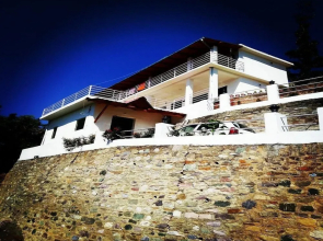 D Jungle Dabas Cottages
