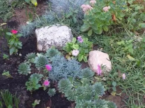 Apartment At Granny and Grandpa