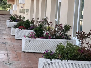 Apartamentos Aljama