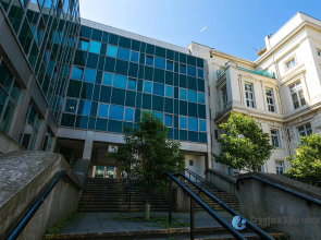 Green Diamond by Creatick Apartments