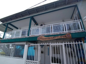 hosteria cattleya
