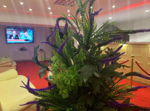 Karra Hotels