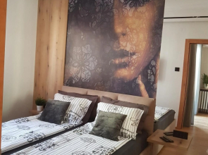 Tesla 3 Apartment