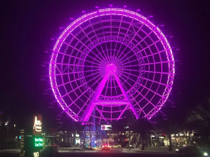 Allure Resort Orlando