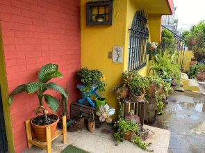 Habitaciones Eco-Terrazas