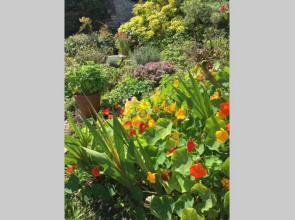 16 Century Farmhouse Cottage, foothills of iconic Glastonbury Tor.