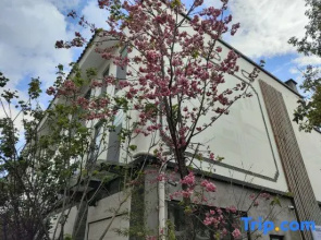 Jingnan Inn
