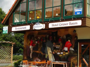 Hotel Grüner Baum - Hildburghausen