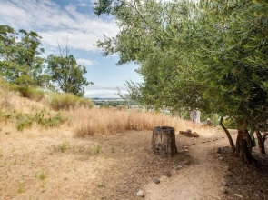 Lovely Belmont Apartment w/ Stunning Views!