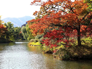 Urban Hotel Maruko Sapporo