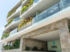 Opal Apt. 201 Amazing Brand new Apartment With Gorgeous Roof top