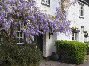 Restaurant at The Old Church House Inn