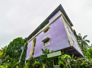 Daffodils Guest House - Calangute