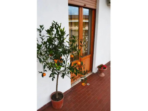Casa Celeste
