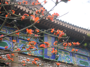 Eadry Royal Garden Hotel Haikou