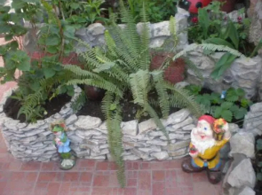 General Dbar Guest House