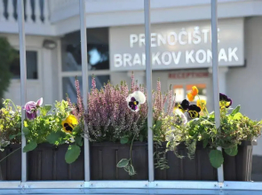 Guest House Brankov Konak