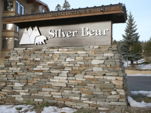 Silver Bear 36
