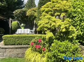 3Bed+2Bath Sauna Retreat in Vancouver!