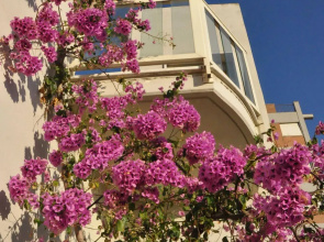 Hotel Santa Costanza