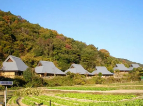 Kisen Waiwaimura