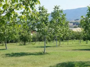 Hostel Restoran Slon