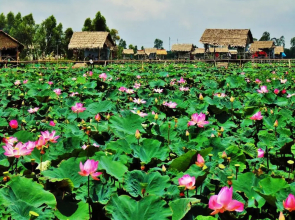 Hai Lua Homestay (Lotus Lake Homestay)