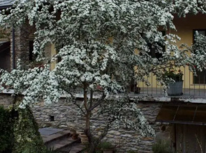 Monterossino B&B