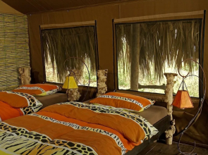 Crater Forest Tented Lodge