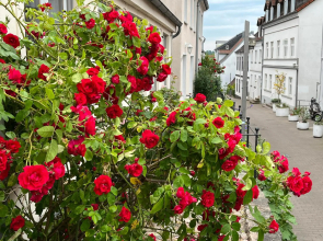 Ferienwohnung Frieda