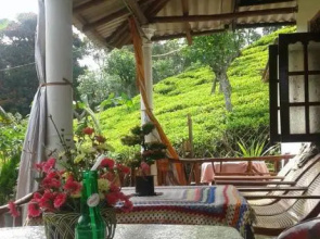 Tunnel Gap Homestay