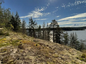 Вили Улей Карелия