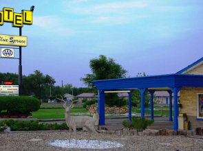 Blue Spruce Motel