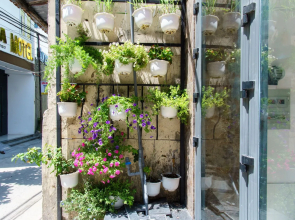 Dreamy House Boutique Hotel