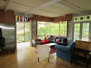 Old Pine Cabin