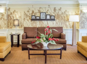 Wingate by Wyndham Dublin Near Claytor Lake State Park