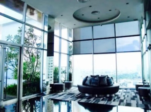 Luxury Apartment near Downtown