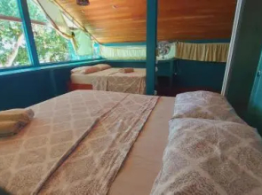 Apartamentos monkey beach