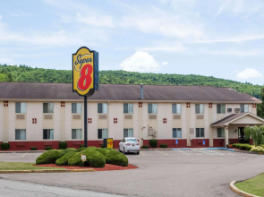 Super 8 by Wyndham Sidney NY