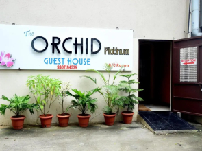Orchid Platinum Guest House