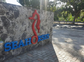 Capital O 3947 Akarsa Seahorses