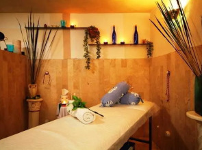 Hotel Spa Hacienda Del Bosque