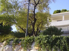 Apartment Vjera