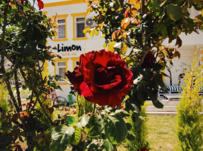 Limon Pansiyon