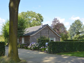 Beautiful Holiday Home in Venhorst Near Forest