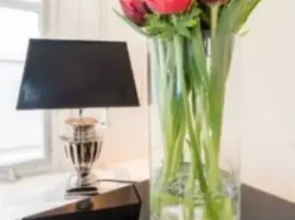 City Hart Appartment