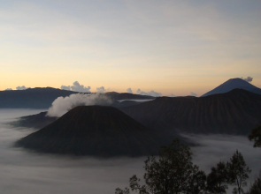 Yog Bromo Homestay