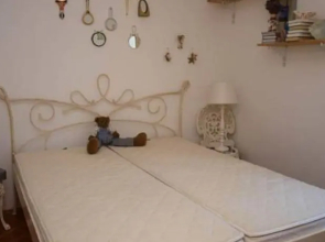 Holiday house Pavlica